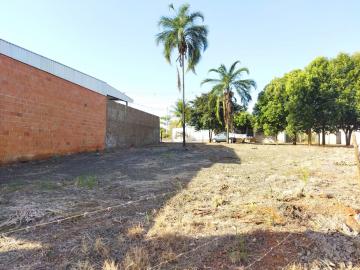 imagem 1 - Ótimo terreno com amplo espaço e ótima localização imagem 1 - Ótimo terreno com amplo espaço e ótima localização