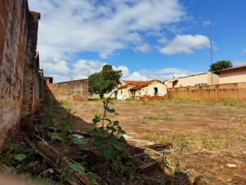 imagem 2 - Grande terreno com localização privilegiada imagem 2 - Grande terreno com localização privilegiada