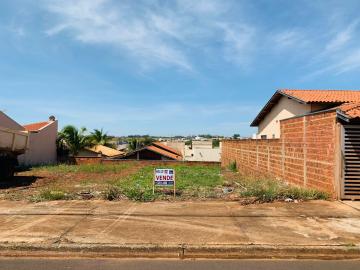 imagem 1 - Terrenos - Padrão imagem 1 - Terrenos - Padrão