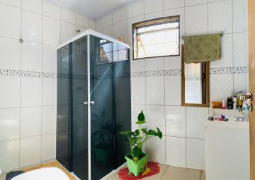 imagem 5 - Casas - Padrão imagem 5 - Casas - Padrão