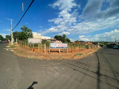imagem 1 - Excelente oportunidade para investir em Olímpia/SP! imagem 1 - Excelente oportunidade para investir em Olímpia/SP!