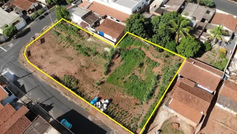 imagem 4 - Excelente oportunidade para investir em Olímpia/SP! imagem 4 - Excelente oportunidade para investir em Olímpia/SP!