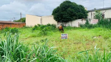 Terreno comercial disponível para locação