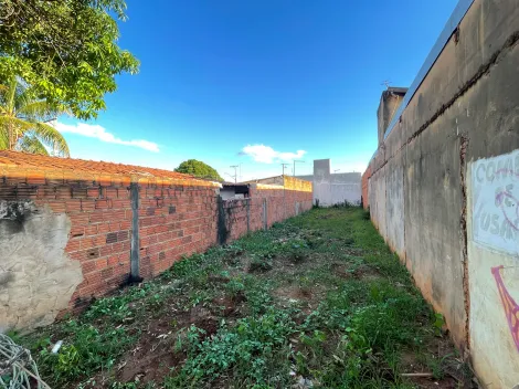 imagem 1 - Terrenos - Residencial / Comercial imagem 1 - Terrenos - Residencial / Comercial