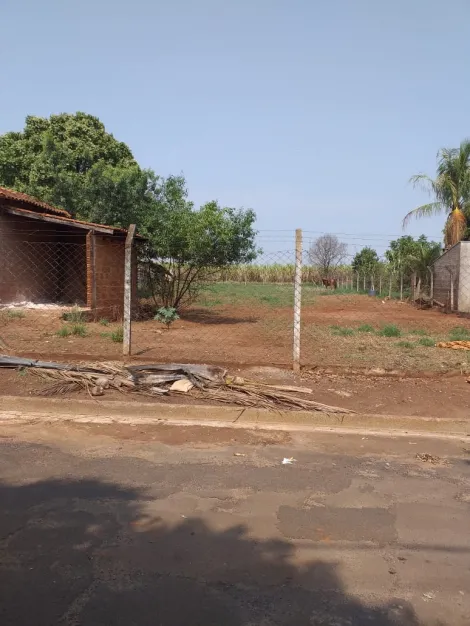imagem 3 - Rurais - Chácara imagem 3 - Rurais - Chácara