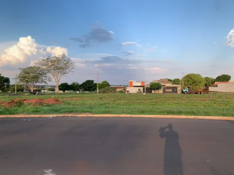 imagem 1 - Terrenos - Residencial / Comercial imagem 1 - Terrenos - Residencial / Comercial