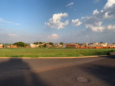 imagem 1 - Terrenos - Residencial / Comercial imagem 1 - Terrenos - Residencial / Comercial