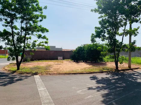 imagem 1 - Terrenos - Padrão imagem 1 - Terrenos - Padrão