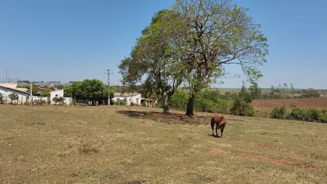 imagem 2 - Rurais - Chácara imagem 2 - Rurais - Chácara
