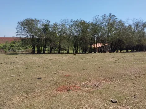 imagem 3 - Rurais - Chácara imagem 3 - Rurais - Chácara