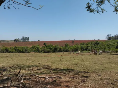 imagem 4 - Rurais - Chácara imagem 4 - Rurais - Chácara