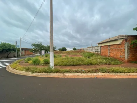 imagem 2 - Terrenos - Padrão imagem 2 - Terrenos - Padrão