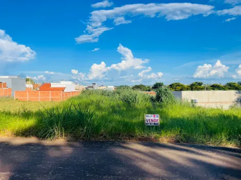 imagem 1 - Terrenos - Padrão imagem 1 - Terrenos - Padrão