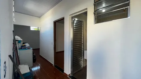 Olimpia Jardim Campo Belo Apartamento Locacao R$ 1.300,00 2 Dormitorios  Area construida 10.00m2