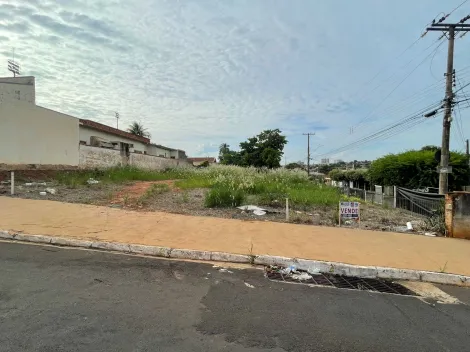 imagem 2 - Terrenos - Residencial / Comercial imagem 2 - Terrenos - Residencial / Comercial