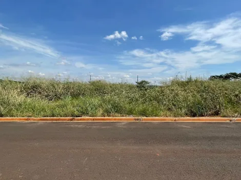imagem 1 - Terrenos - Padrão imagem 1 - Terrenos - Padrão