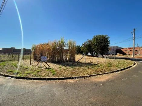 imagem 2 - Terrenos - Residencial / Comercial imagem 2 - Terrenos - Residencial / Comercial