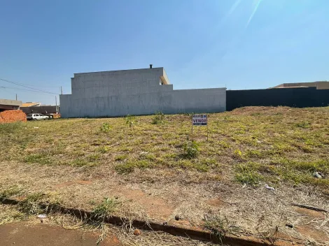imagem 1 - Terrenos - Padrão imagem 1 - Terrenos - Padrão