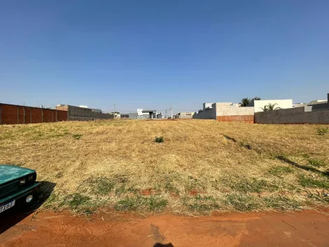 imagem 1 - Terrenos - Padrão imagem 1 - Terrenos - Padrão