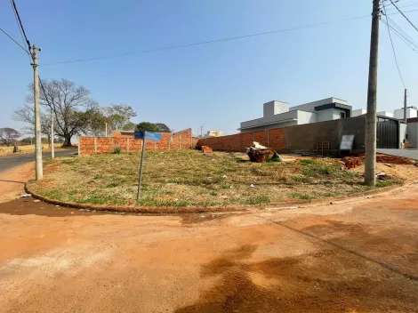imagem 1 - Terrenos - Residencial / Comercial imagem 1 - Terrenos - Residencial / Comercial