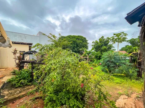 imagem 2 - Terrenos - Padrão imagem 2 - Terrenos - Padrão