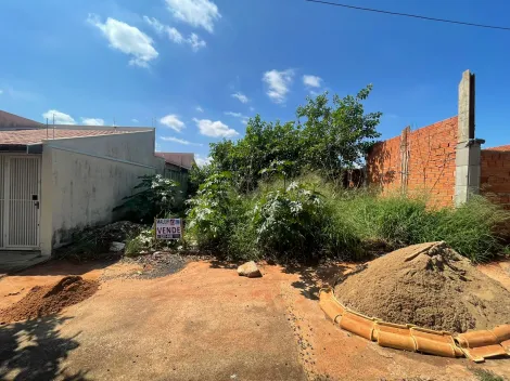 imagem 1 - Terrenos - Padrão imagem 1 - Terrenos - Padrão