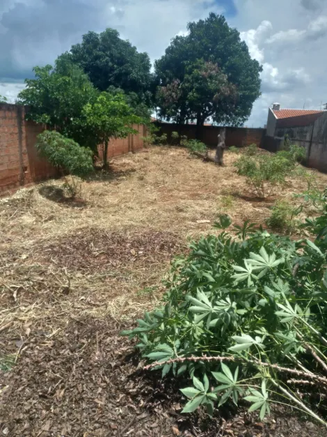imagem 2 - Terrenos - Padrão imagem 2 - Terrenos - Padrão