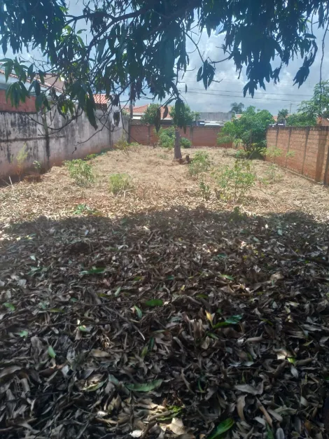 imagem 3 - Terrenos - Padrão imagem 3 - Terrenos - Padrão