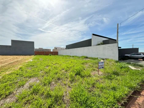 imagem 2 - Terrenos - Residencial / Comercial imagem 2 - Terrenos - Residencial / Comercial