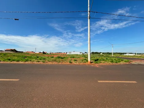 imagem 3 - Terrenos - Residencial / Comercial imagem 3 - Terrenos - Residencial / Comercial