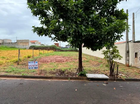 imagem 1 - Terrenos - Padrão imagem 1 - Terrenos - Padrão