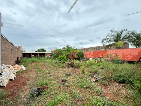 imagem 1 - Terrenos - Padrão imagem 1 - Terrenos - Padrão