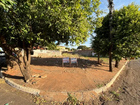 Olimpia Jardim Santa Ifigenia Terreno Locacao R$ 11.150,00  Area do terreno 531.99m2 