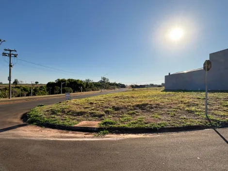 imagem 2 - Terrenos - Residencial / Comercial imagem 2 - Terrenos - Residencial / Comercial